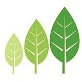 Brisbane City Psychologists