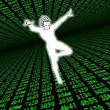 Static Variable