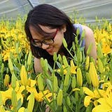 Duong Nguyen Khanh Vy