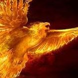 Orgone Pheonix