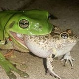 roadtoriches