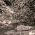 shadows4271