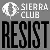 Ann Paulson Roberts