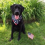 Mary Kendall Rutherford