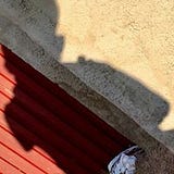 Mavis Negroni-Foosaner