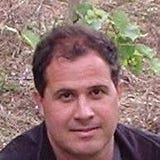 Vinicius Corbellini