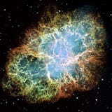 Jambian Bee Giant