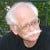 David H Finke