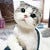 บักฮําแหร่ Ok