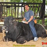 Luis Fernando Martinez Galvez