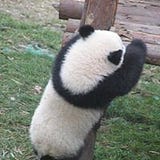 Sitao Deng