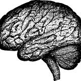 The Neurotic Dater