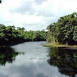 Roberto Dominguez
