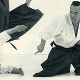 Stan's Journey of Aiki