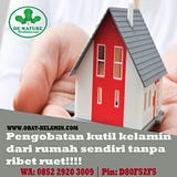 OBAT KUTIL KELAMIN