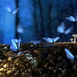 Blue Butterfly