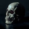 50-Word Horror Stories