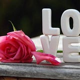Davood Momtaz