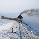 ВlасК indоfоd