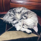 Cathyw