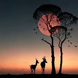 Desertsky