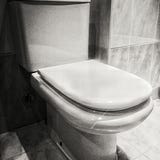 Reflexiones Desde El WC