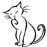 Q A Why Does My Cat Want Me To Watch Her Eat By Jaimes Roe