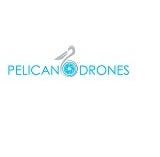 Pelicandrones