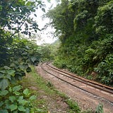 Pensamentos Aleatórios