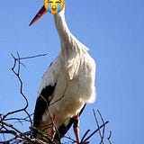 The Sad Stork
