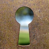 The Knob
