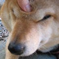 隆之介のモノローグ