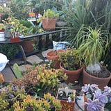 The Blog With No Name