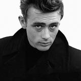 Roy Arlandi