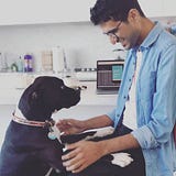 Raxit Majithiya