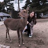 簡潔安