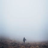 Into the Fog