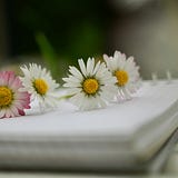 Um caderno florido