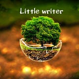 Little Writer
