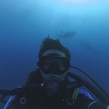 Adrianus Tirta