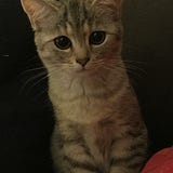 Frau Winnie