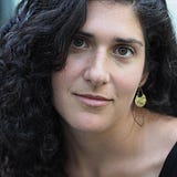 amy lipner