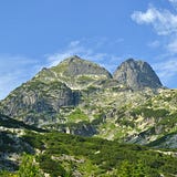 Monte Visum