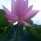 千秋パーク法律事務所