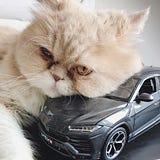 汽車英語單字速查詞典 Automobile English Dictionary By Mack Chen Mack Life And Car Medium 汽車英語單字速查詞典 Automobile English Dictionary By Mack Chen Mack Life And Car Medium