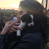 Parisa Bazl