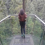 Havisha