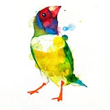 Faddy Finch