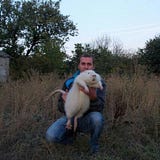 аlсНеМiХ