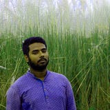 Robin Gazi